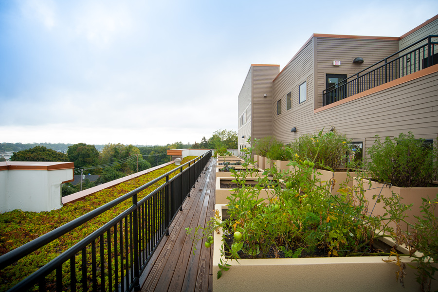 Elgin Housing Authority