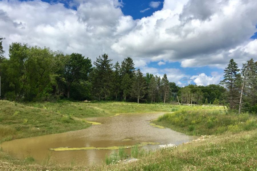 The Enclave at Mequon Preserve